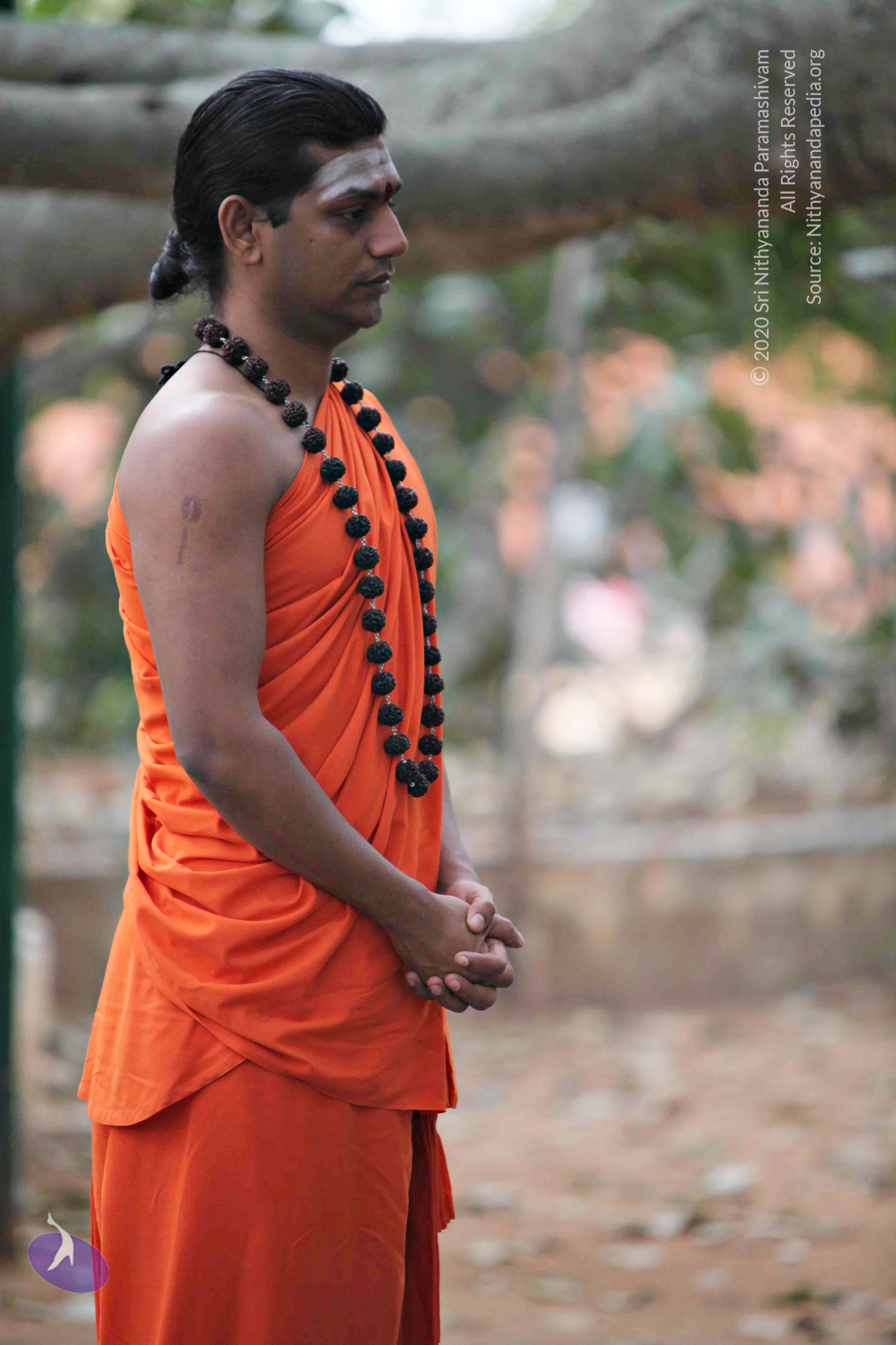 20110225_Photo_1067_IMG_0781_CMP_WM